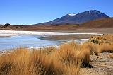 BOLIVIA 2 - Ruta de Las Joyas - Laguna Hedionda - 27